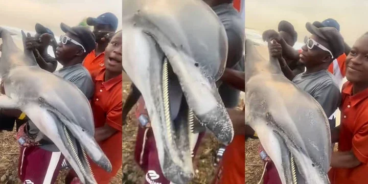 Youths Pose with Dolphin Caught in Nigerian Community