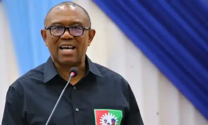 'Stop All Foreign Trips And Deal With This Ugly Situation Facing Us' - Peter Obi Tells Tinubu
