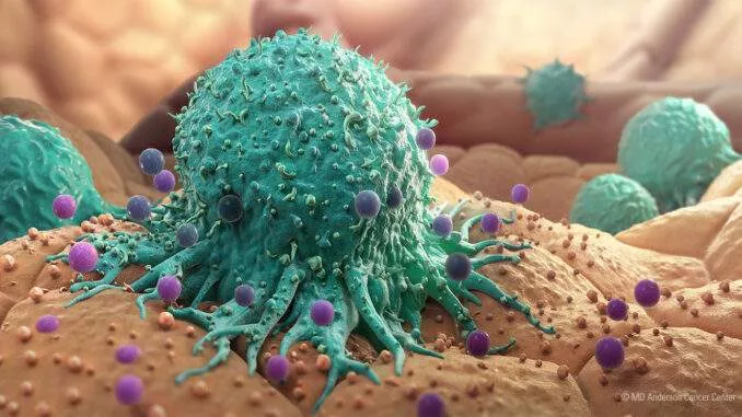 Metastatic Cancer Cell