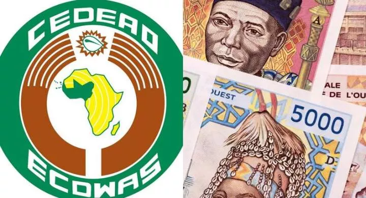 ECOWAS set to unveil single currency, ECO after Nigeria endorsement