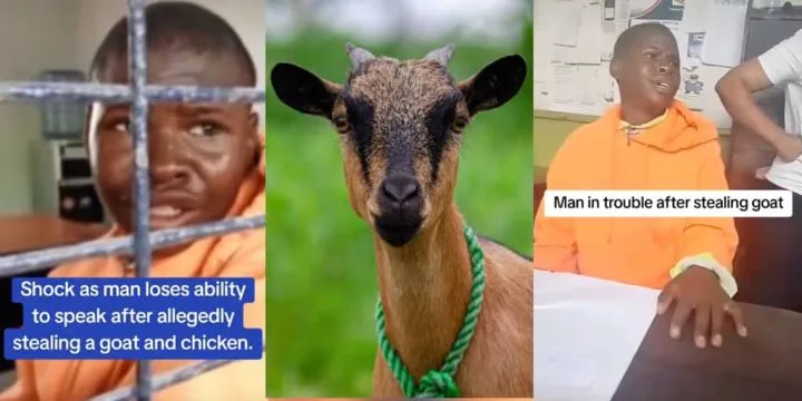 Man unable to speak after stealing goats and chickens Man unable to speak after stealing goats and chickens