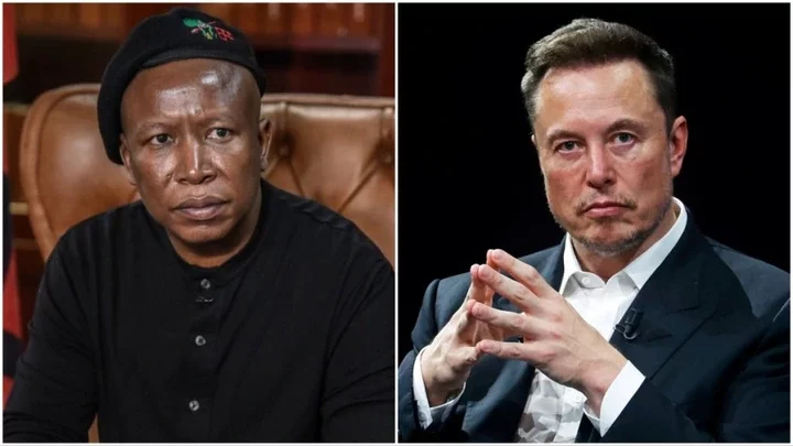 I think you have lost your left brain - South African politician Julius Malema slams Elon Musk after he called for him to be declared an "international criminal"