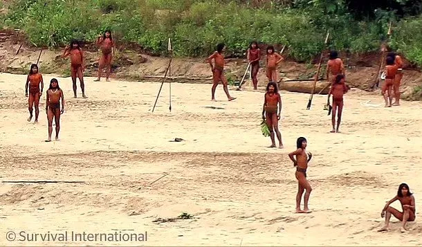 At least 1 injured and 2 killed as uncontacted Amazonian tribe fire arrows at intruders encroaching on their land