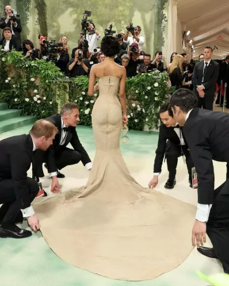 5 men carry Tyla up the stairs at Met Gala due to delicate dress (photos/video)