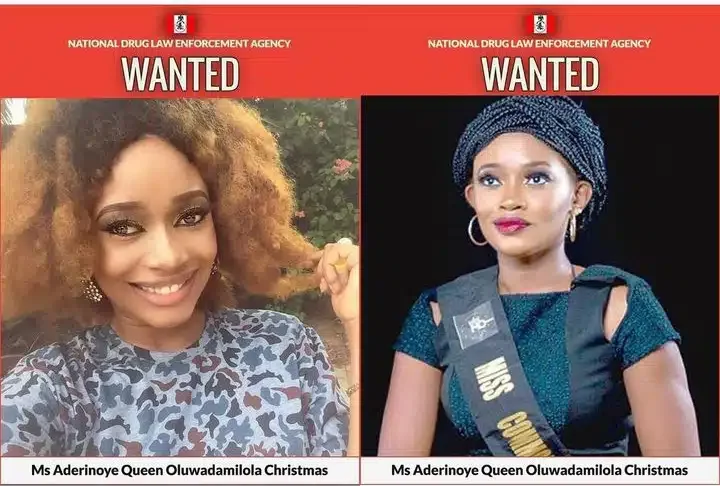 NDLEA ramps up search for ex-beauty queen suspected of dealing illicit drugs