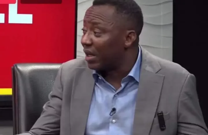 El-Rufai, Amaechi are emergency activists - Sowore