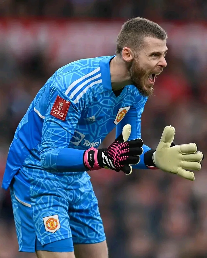 David de Gea Contemplates Retirement Amidst Uncertain Future as First-Choice Goalkeeper