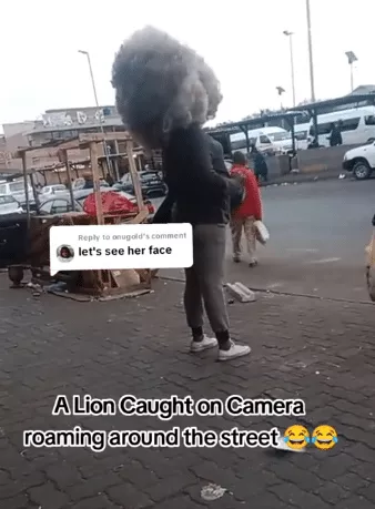 'This country don tire me' - Lady storms main road with Afro hairstyle, video trends