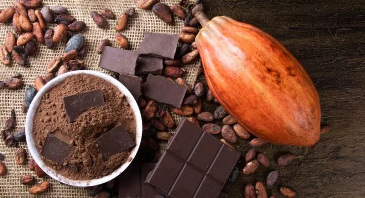 Top 5 African countries exporting chocolate products