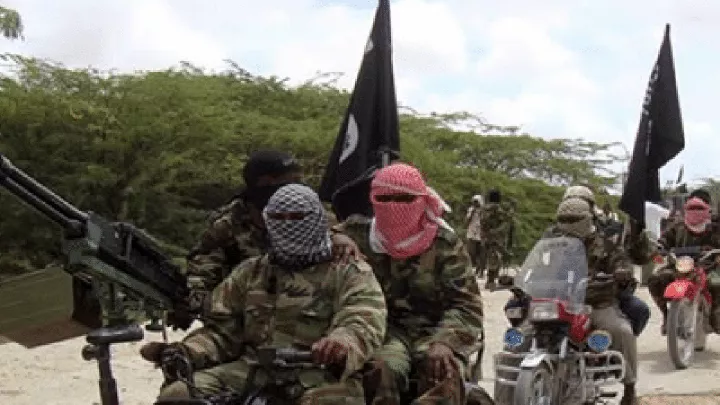 Suspected Boko Haram terrorists attack Adamawa community, raze buildings