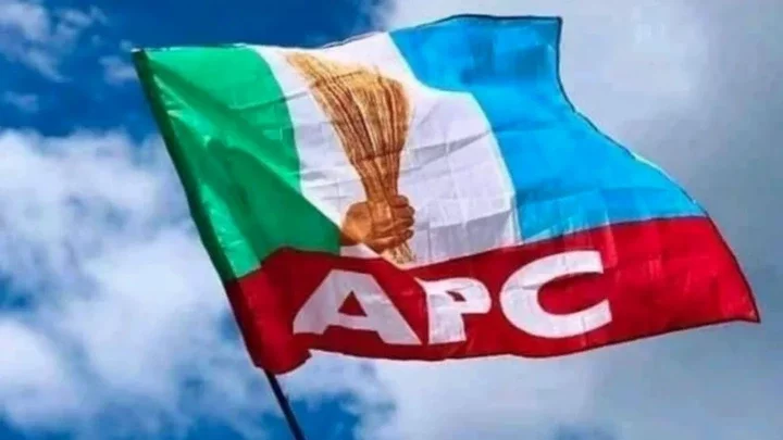 Appeal Court Judgement: NNPP protests aimed at creating violence in Kano - APC alleges