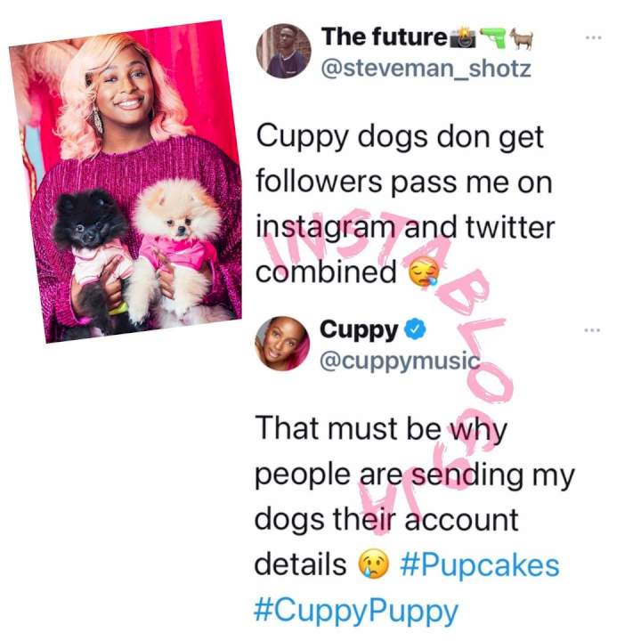People are sending my dogs their account numbers - DJ Cuppy cries out