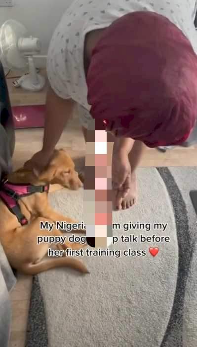"Show other dogs you're from a Christian home" - African mum engages daughter's dog in an intensive moral talk (Video)