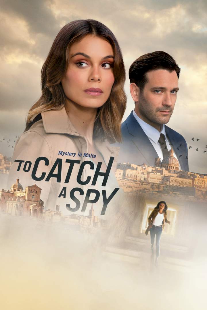 To Catch a Spy Subtitles (2021)