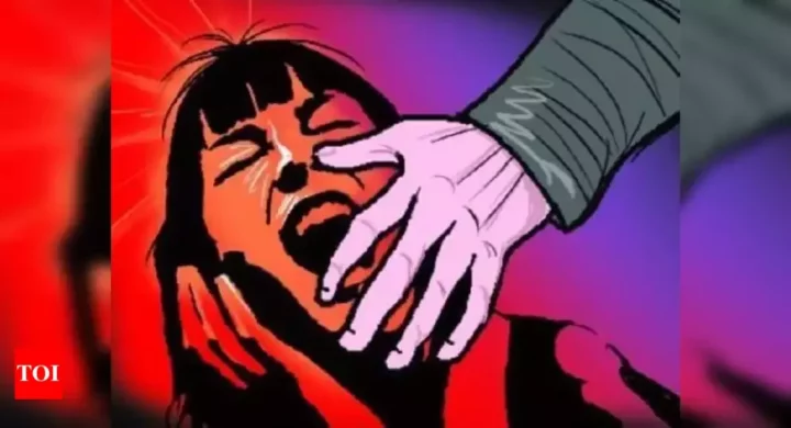 Twitter user shares screenshots of chat with lady who has a rape kink
