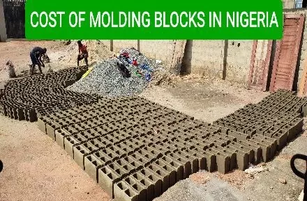 Cost of Molding Blocks in Nigeria (2025)