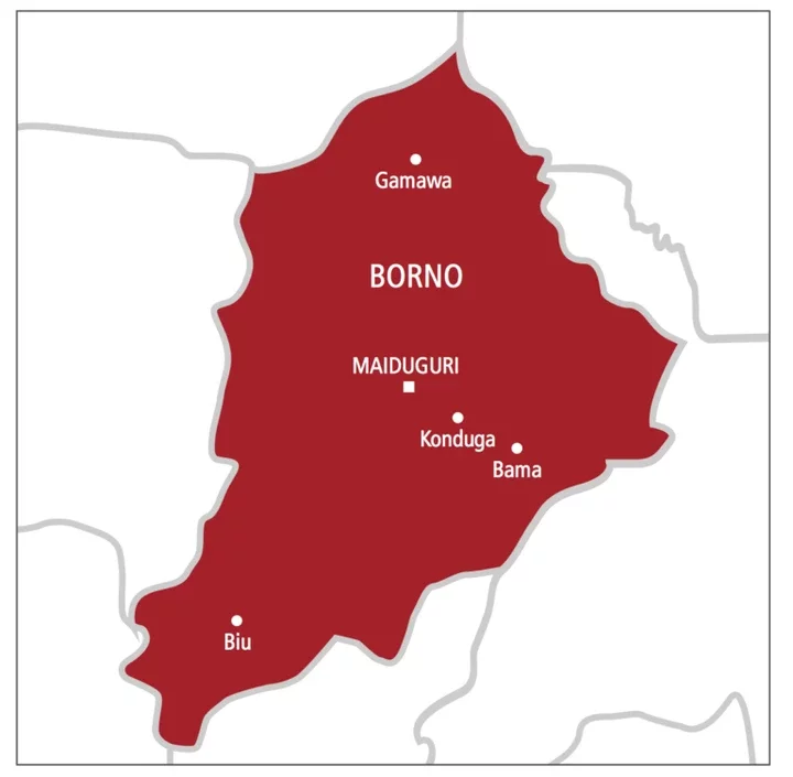 Boko Haram Abducts Hundreds of Female Internally Displaced Persons (IDPs) In Borno