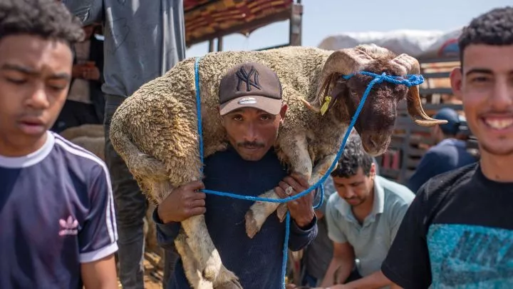 Drought-hit Morocco asks citizens not to slaughter sheep on Eid al-Adha