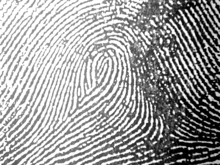 8 Different Types of Fingerprints