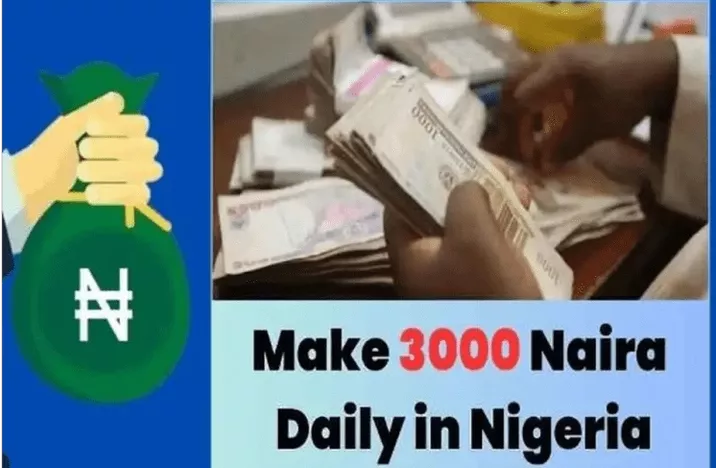 15 Profitable Business Ideas to Earn 3K Daily in Nigeria