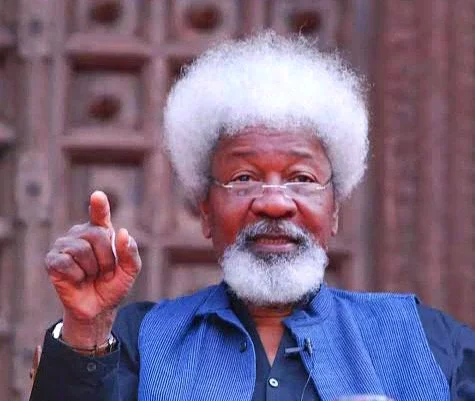 Tinubu's Presidential Address Fell Conspicuously Short Of Protest Management - Wole Soyinka