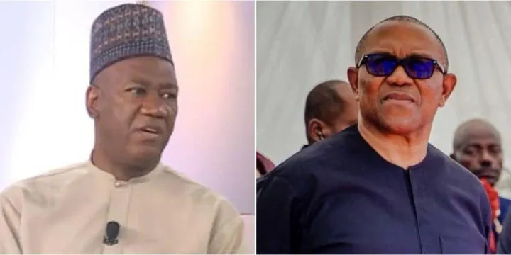 2027: 'Peter Obi should not accept coalition's VP slot, he deserves presidency' - Datti Baba-Ahmed