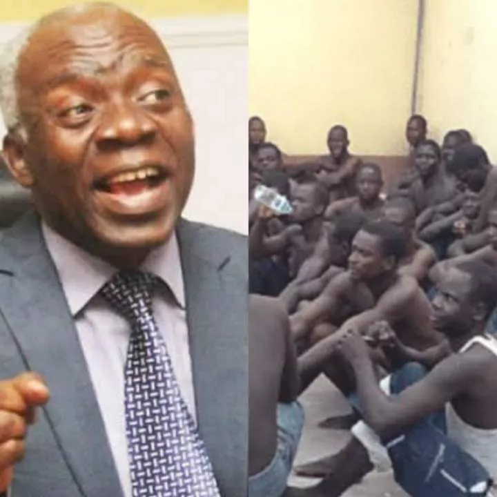 Pardon 4000 inmates rather than spend N500m for their release - Femi Falana tells FG