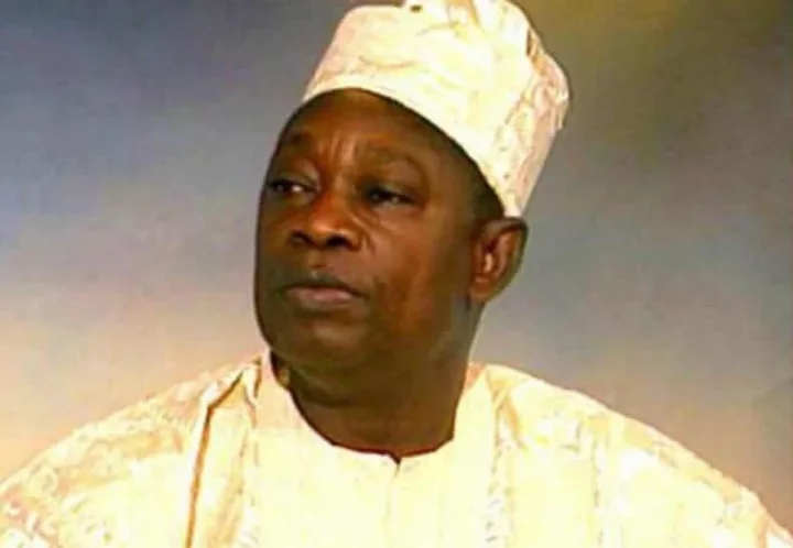 DNA test confirmed my father had 55 children not 103 - MKO Abiola's son