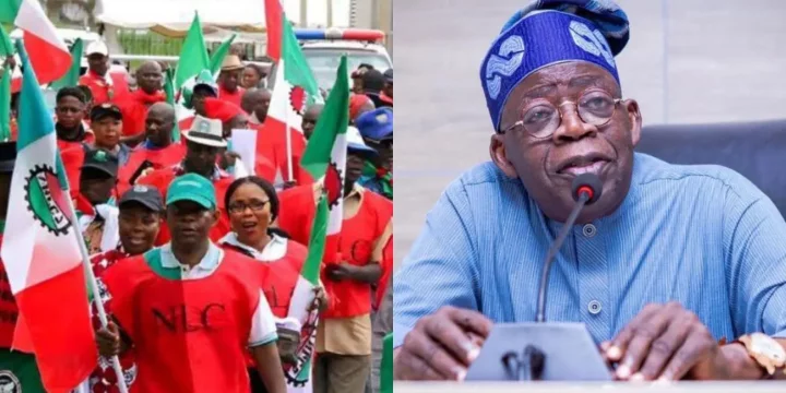 'Government Is Not Serious Yet' - Labour Speaks On Tinubu Approving Minimum Wage