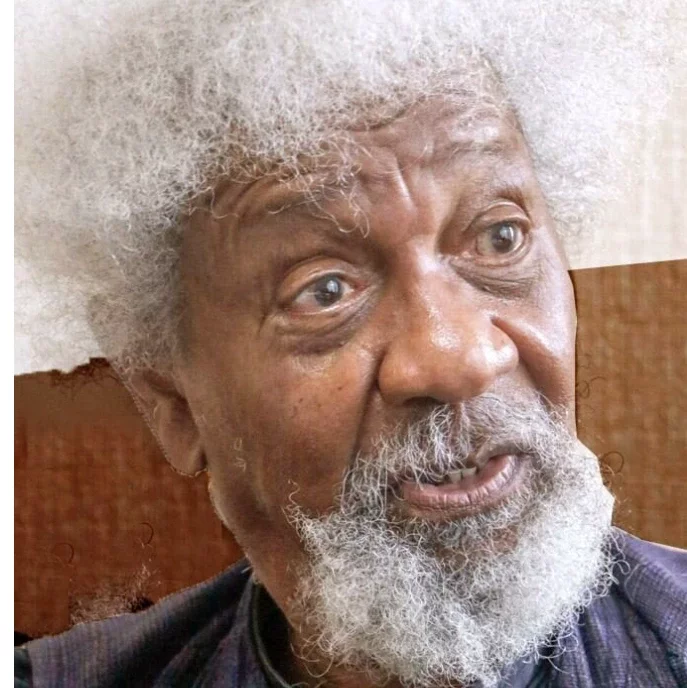 You Can't Dictate to Me When to Assess Tinubu - Wole Soyinka Slams Nigerians