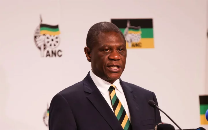 South Africa?s Vice President Paul Mashatile collapses at event (video)