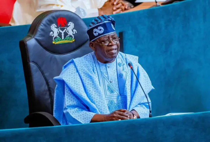 Presidential media chat: Borrowing not criminal - Tinubu