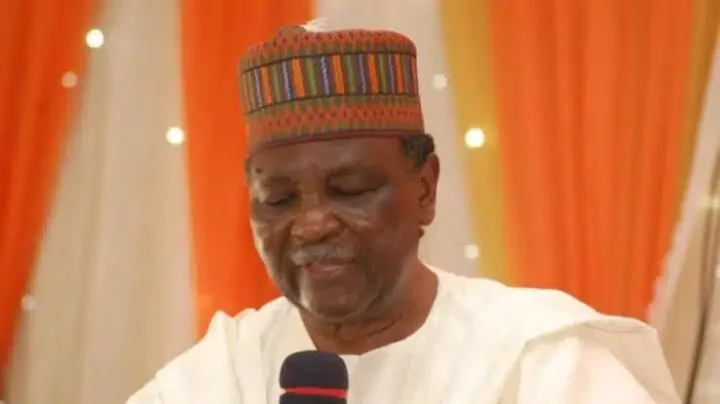'Don't worry about the criticism against your administration' - Gowon advises Tinubu