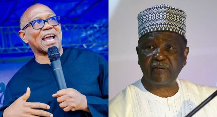 L-R: Peter Obi and former head of state, Rtd-Gen Yakubu Gowon. [Facebook/Getty Images]