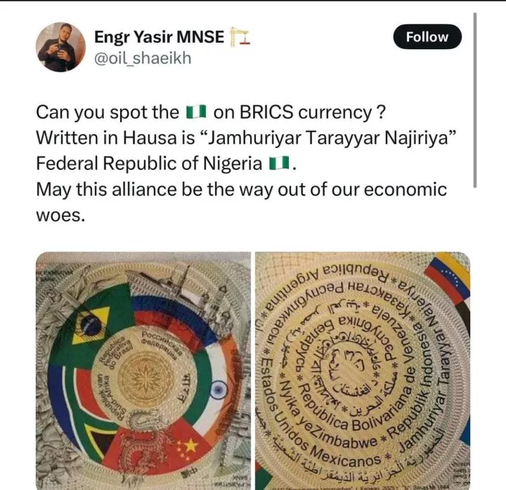 Nigeria written on proposed reserve currency of BRICS as it joins bloc as partner country