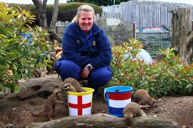 Mystic meerkats do it again with England final prediction after 100% record
