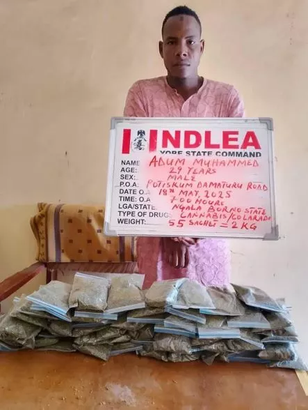 NDLEA Intercepts N6.5bn Opioids In Lagos, Rivers Ports, Arrests Two British Nationals (Photos)