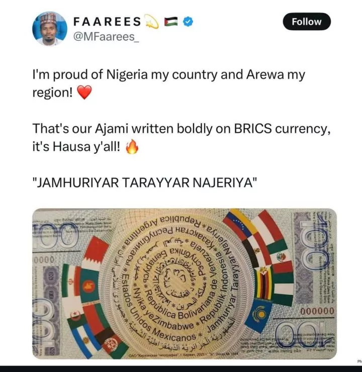 Nigeria written on proposed reserve currency of BRICS as it joins bloc as partner country