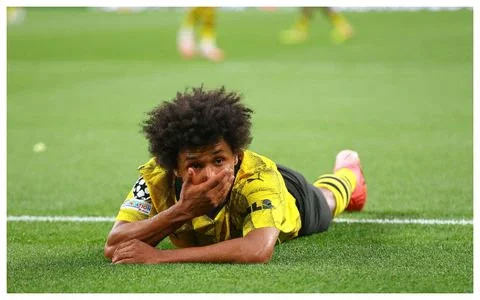 UCL Final: 'He forgot to eat fufu before the game' - Fans blast Karim Adeyemi for failing to convert Dortmund's golden chance