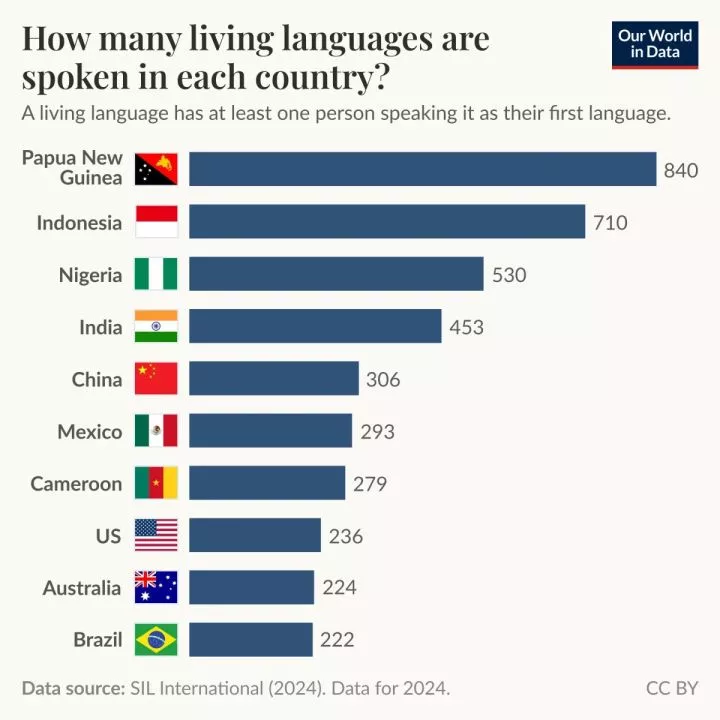 The Countries that Speak the Most Languages