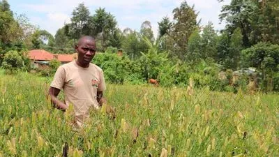 Evans Ochuto at the traditional vegetable and seed bank farm in Vihiga County.