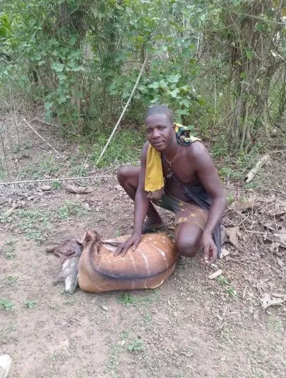 Photos Of Antelope, Grasscutter Caught By A Hunter