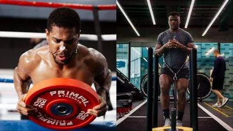 Nigerian boxer Anthony Joshua sends Cameroon MMA star Francis Ngannou a message.