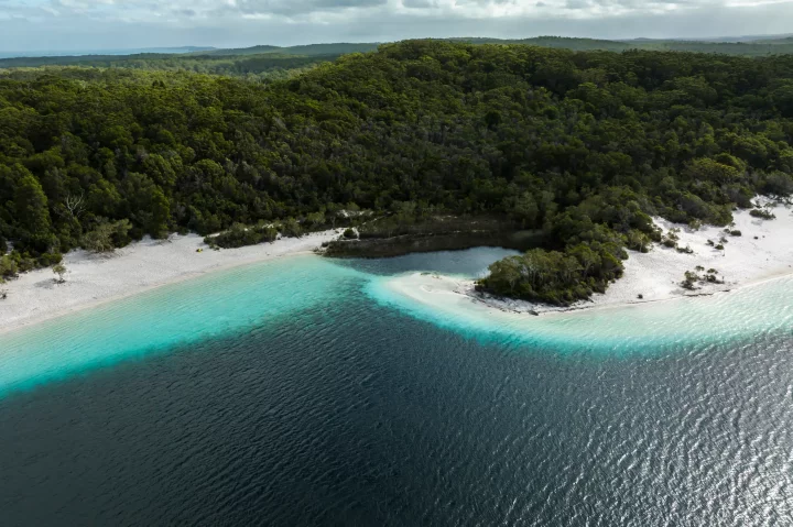 The base of Lake McKenzie filters the water, giving it its clear blue shorelines