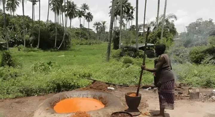 Man pushes 100-year-old mother to death over palm oil proceeds