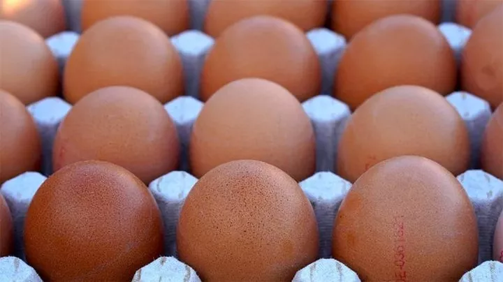 Price of eggs to drop in Nigeria with govt subsidy - Poultry farmers Price of eggs to drop in Nigeria with govt subsidy - Poultry farmers