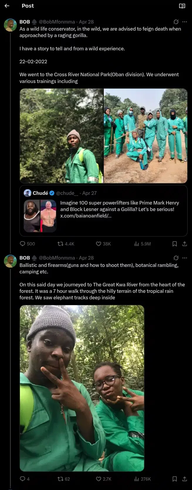 Wildlife conservator shares encounter with gorilla after accidentally entering den during birth