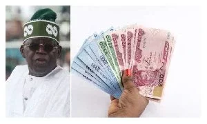 Naira bounces back, rises by over N200 against US Dollar in 24hrs as Tinubu's govt gets support