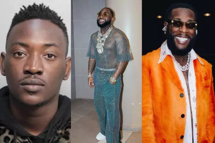 This is not how to handle differences - Burna Boy slams Dammy Krane for calling for Davido's arrest