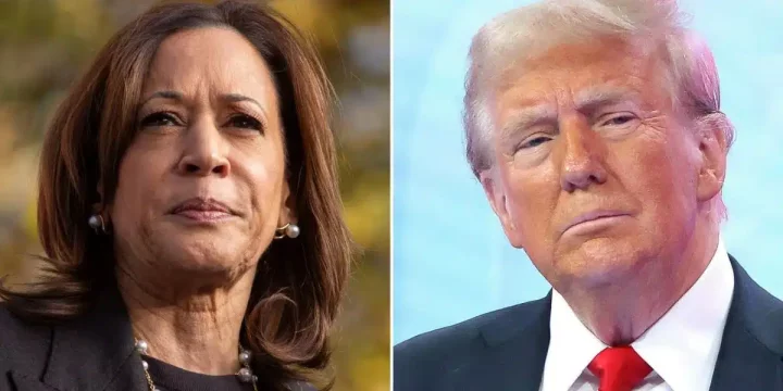 Why Harris lost to Trump - African school of Governance President